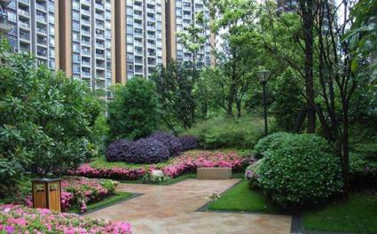 园林 广州办公室绿植租赁,植物出售,绿化施工,种草